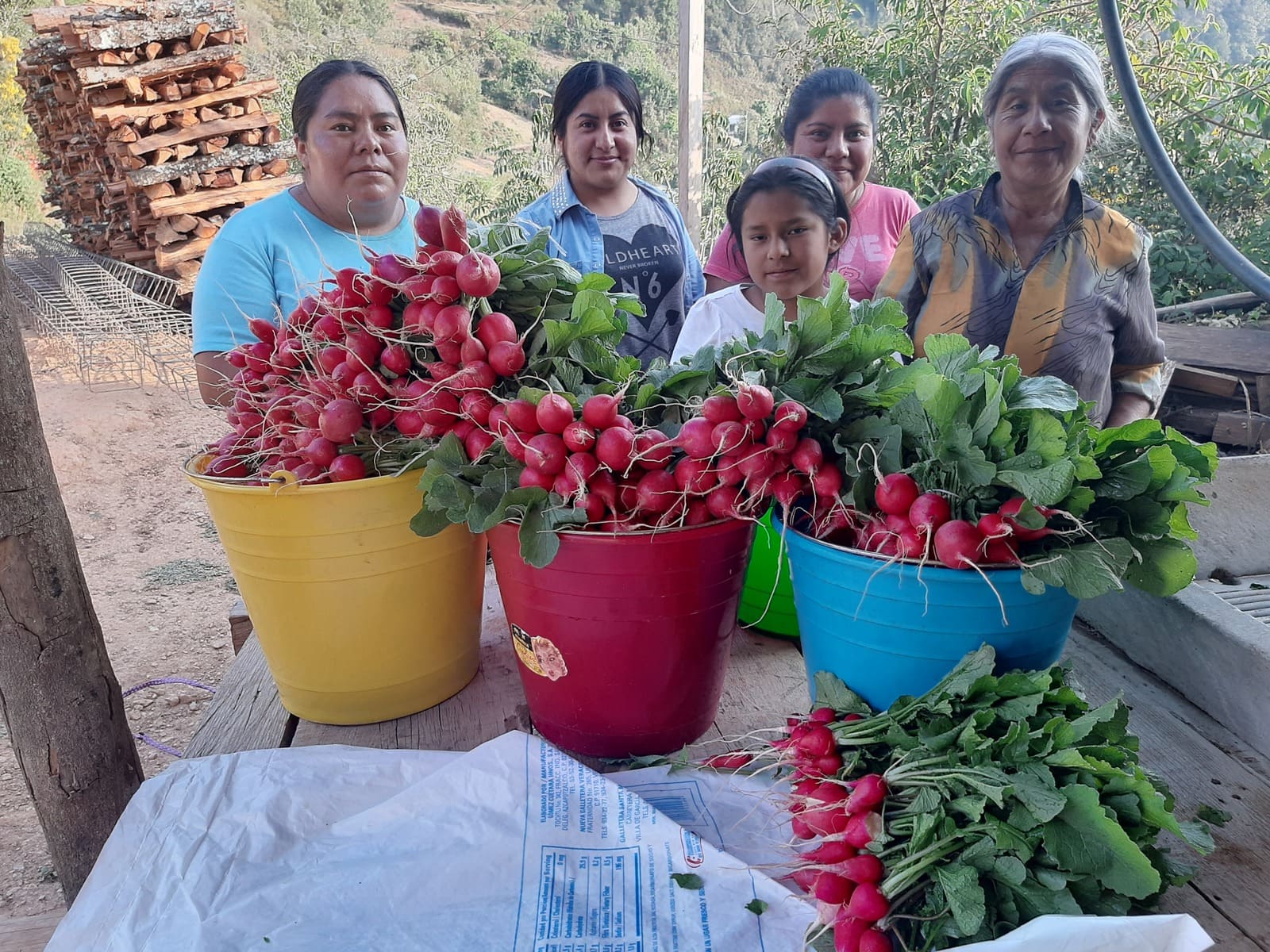 Fortalecimiento de las condiciones de agua y saneamiento