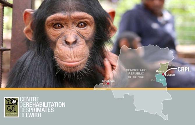 Apoyo Técnico y Financiero del Centro de Rehabilitación de Primates de Lwiro (CRPL)