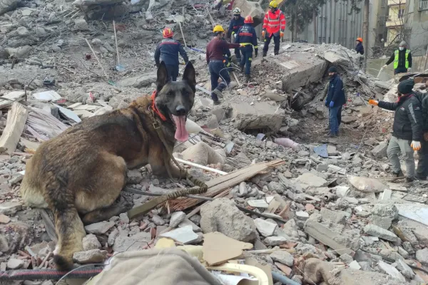 cooperacion-rescate-ong-dana-valencia-perro-bombero2E83C203-FD9B-648A-B32F-DED3AA2B93FB.webp